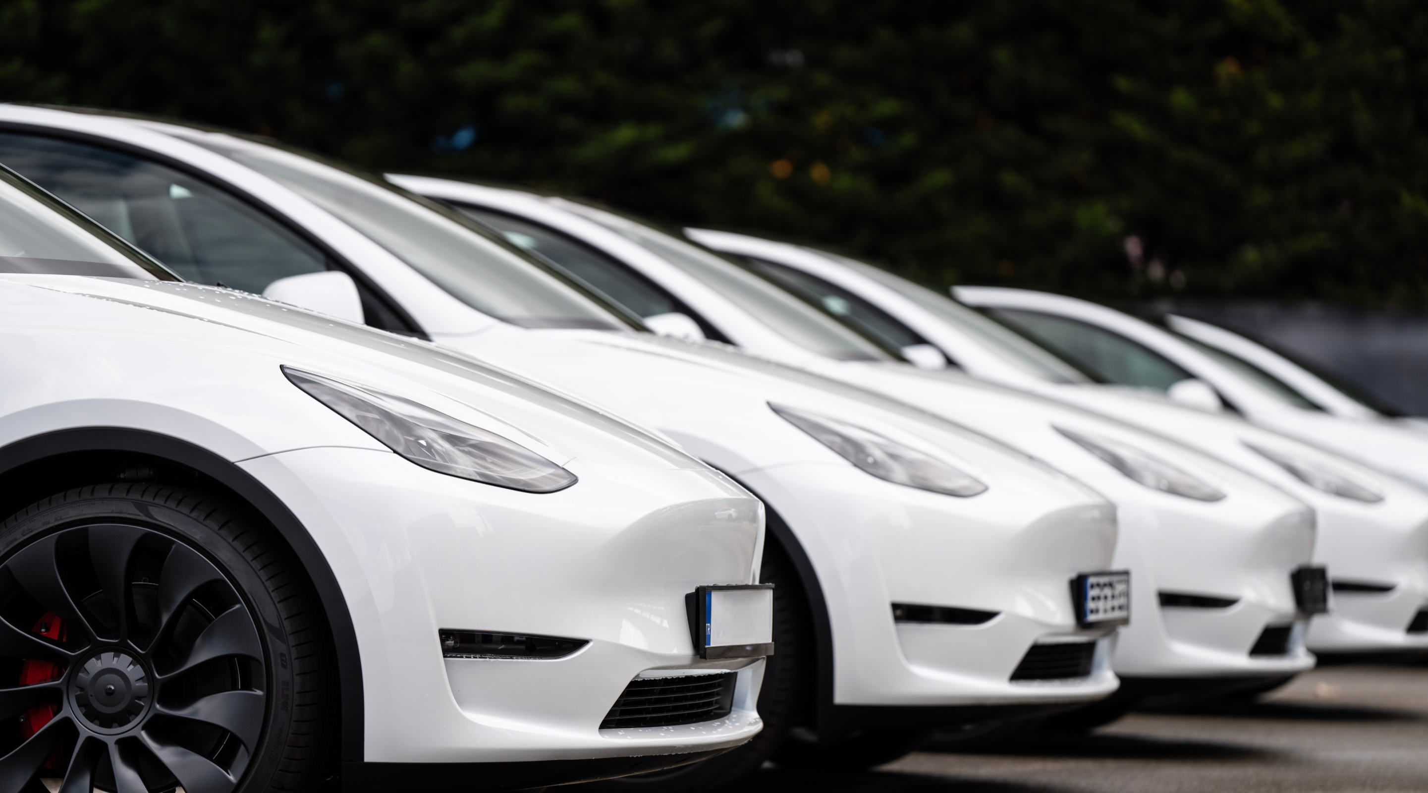A row of white electric cars parked in a lot, showcasing their sleek design and modern features. The cars are positioned at an angle, highlighting their front profiles with a blurred green background.